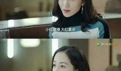 娱乐圈直播吃瓜小说推荐,揭秘明星幕后真相